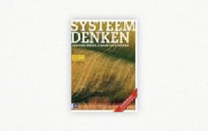 Systeemdenken